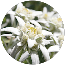 Adriana Pilar Alexandra J. profile picture