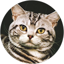 Mercè M. profile picture